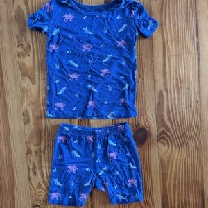 Blue and Pink axolotl pajamas set